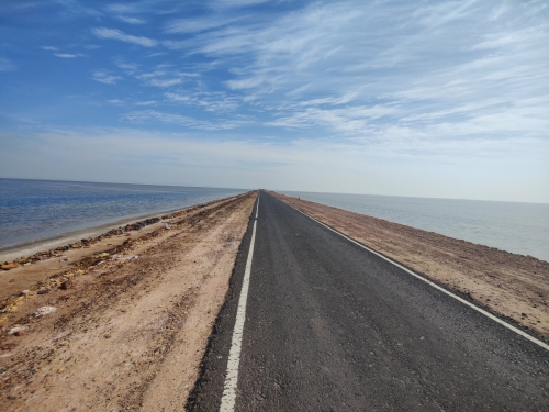 IMG-20250219-WA0487 (1)